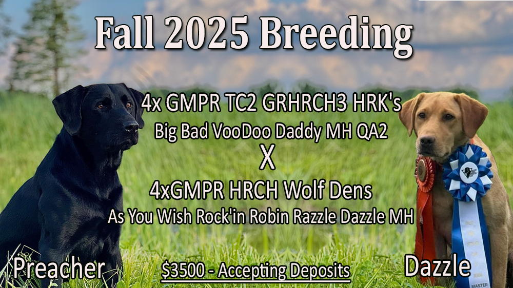 PreacherxRazzle Dazzle